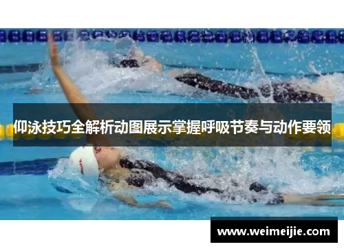 仰泳技巧全解析动图展示掌握呼吸节奏与动作要领