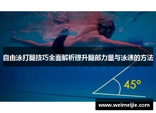 自由泳打腿技巧全面解析提升腿部力量与泳速的方法